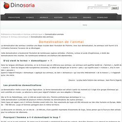 Domestication Animale. En Images. Dinosoria