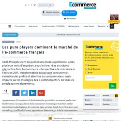 Les pure players dominent le marché de l'e-commerce français - INDICATEURS