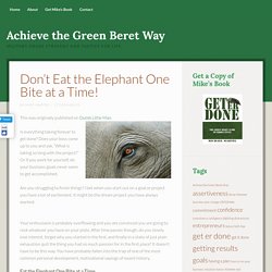 Don't Eat the Elephant One Bite at a Time!