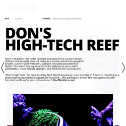 Don’s High-Tech Reef