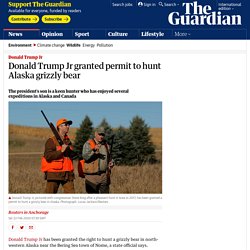 Donald Trump Jr granted permit to hunt Alaska grizzly bear