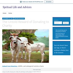 The Untold Reward of Donating to Charity – Spritual Life and Advices