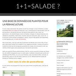 Une base de données de plantes pour la permaculture « 1+1=salade ?
