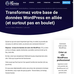 Base de données WordPress : créez, gérez et optimisez-la comme un pro