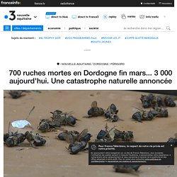 700 ruches mortes en Dordogne fin mars... 3 000 aujourd'hui. Une catastrophe naturelle annoncée