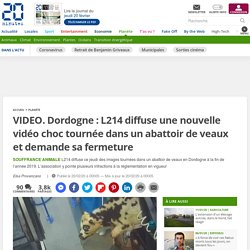 Dordogne : L214 diffuse une nouvelle vidéo choc tournée dans un abattoir de veaux et demande sa fermeture