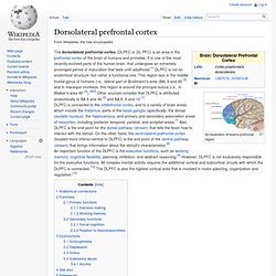 Dorsolateral prefrontal cortex