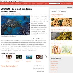 What Is The Dosage Of Kelp For An Average Person?
