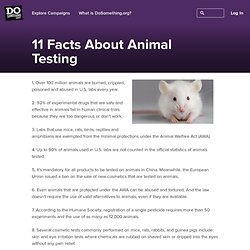 11 Facts about Animal Testing