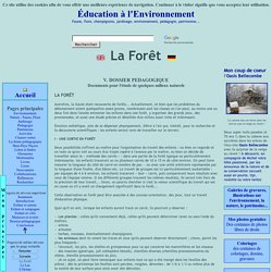 Dossier pédagogique : La Forêt