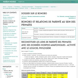 Dossier sur le bonobo: Bonobo et relations de parenté au sein des Primates