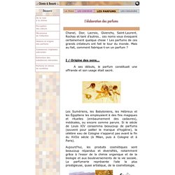 Dossier SagaScience - Chimie et Beauté