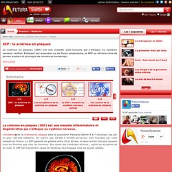 Dossier > SEP : la sclérose en plaques