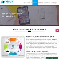 DotNetNuke Software Development Service Provider