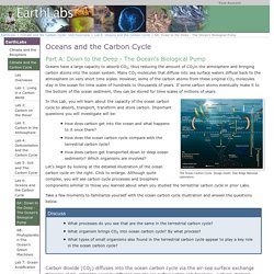 6A: Down to the Deep - The Ocean's Biological Pump