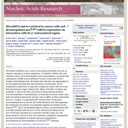 Potential therapeutic targets in the process of nucleic 