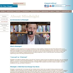 Dr. Dan Siegel - About - Mindsight