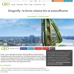 Dragonfly : la ferme urbaine bio et autosuffisante