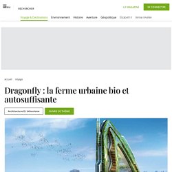 Dragonfly : la ferme urbaine bio et autosuffisante - Geo.fr