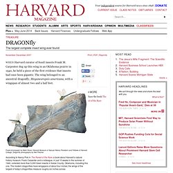 Harvard Magazine Nov-Dec 2007