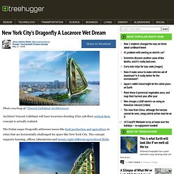 New York City's Dragonfly A Locavore Wet Dream