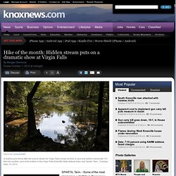 Hike of the month: Hidden stream puts on a dramatic show at Virgin Falls Knoxville News Sentinel