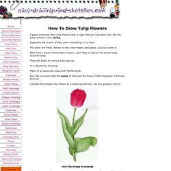 Draw Tulip Flowers In Few Easy Steps.