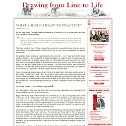 Drawing from Line to Life