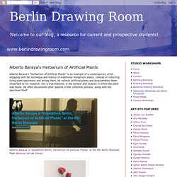 Berlin Drawing Room: Alberto Baraya's Herbarium of Artificial Plants
