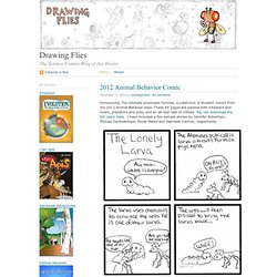 Drawing Flies · The Science Comics Blog of Jay Hosler