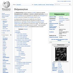Drépanocytose