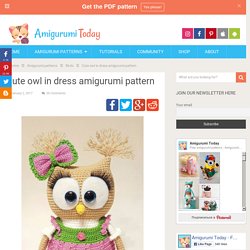 Cute owl in dress amigurumi pattern - Amigurumi Today