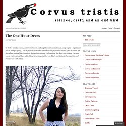 The One Hour Dress « Corvus tristis: Science, Craft and an Odd Bird