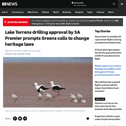 Lake Torrens drilling approval by SA Premier prompts Greens calls to change heritage laws