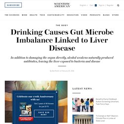 Drinking Causes Gut Microbe Imbalance Linked to Liver Disease