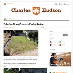 Drivable Grass Concrete Paving System