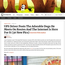 UPS Driver Posts The Adorable Dogs He Meets On Routes And The Internet Is Here For It (30 New Pics)