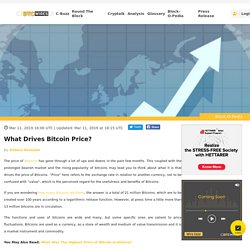 What Drives Bitcoin Price?