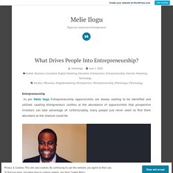 What Drives People Into Entrepreneurship? – Melie Ilogu