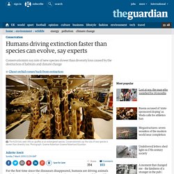 Humans driving extinction faster than species can evolve, say ex