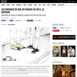 Les drogues de rue en France en 2013, le rapport