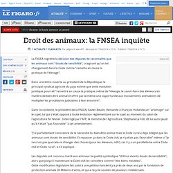 Droit des animaux: la FNSEA inquiète