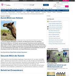 Kamele: In Holland liefern 40 Dromedare arabische Kamelmilch