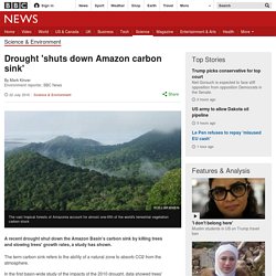 Drought 'shuts down Amazon carbon sink'