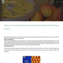 dryersinternational.com - What are the benefits of choosing Dried Mangoes from Mango Dryer?