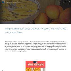 dryersinternational.com - Mango Dehydrator Dries the Fruits Properly and Allows You to Preserve Them