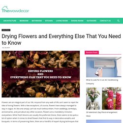 Drying Flowers and Everything Else That You Need to Know · Wow Decor