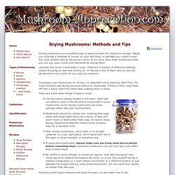Drying Mushrooms: Easy Methods and Tips