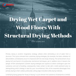 Drying Wet Carpet and Wood Floors With Structural Drying Methods