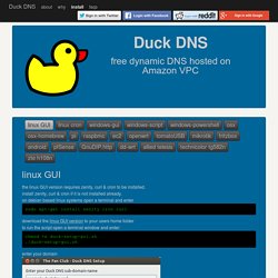 Duck DNS - install